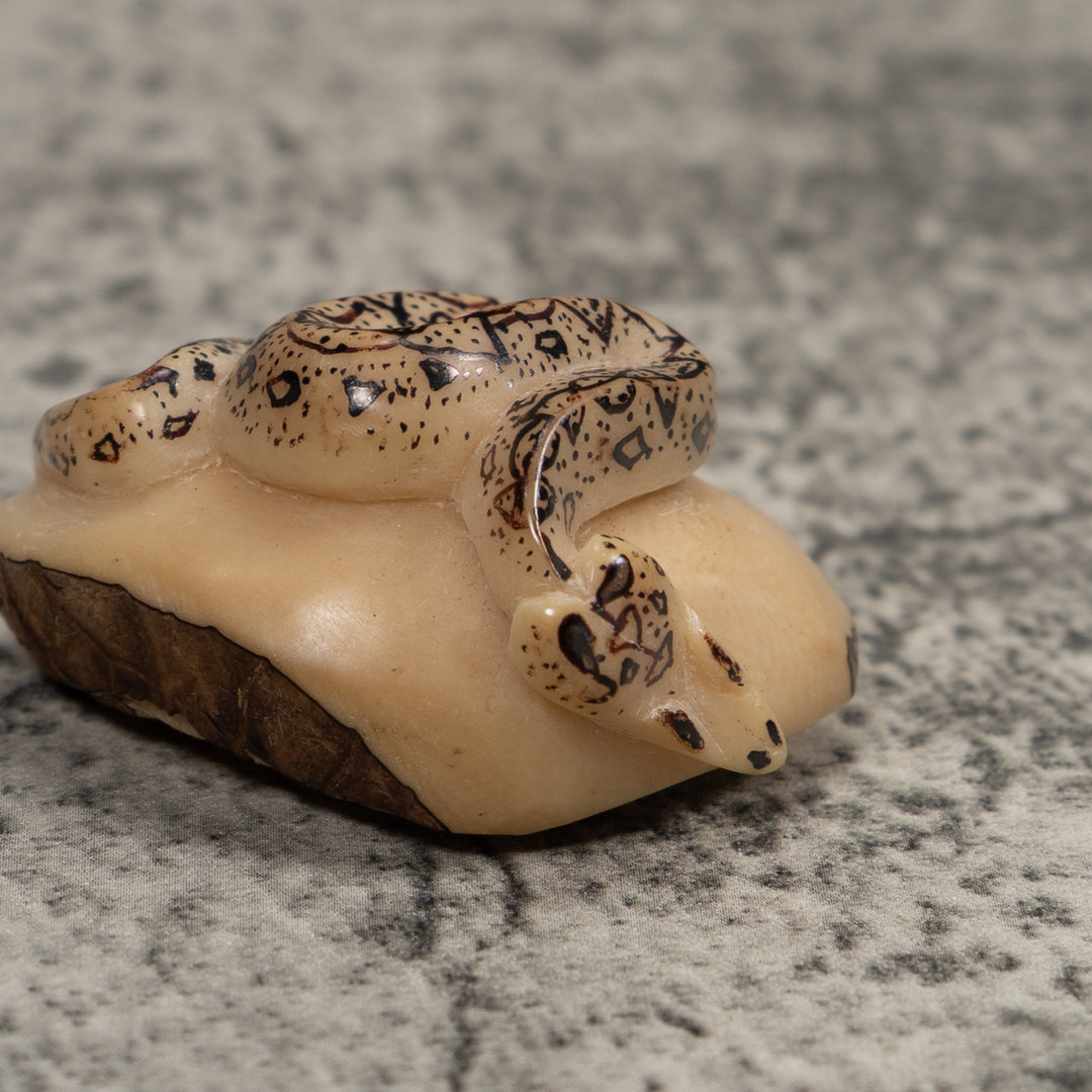 Jungle Snake Tagua Carving
