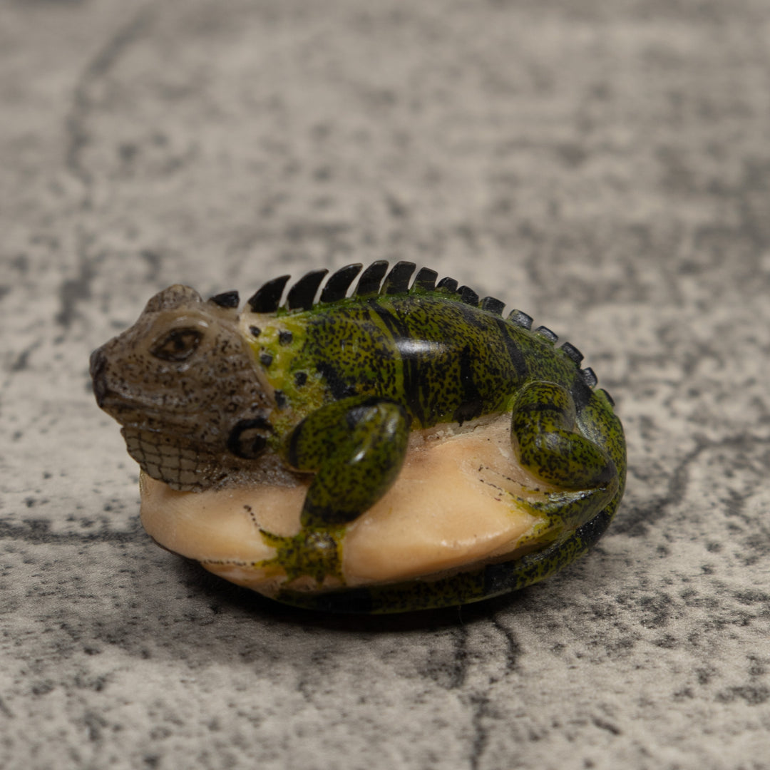 Iguana Lizard Reptile Tagua Carving