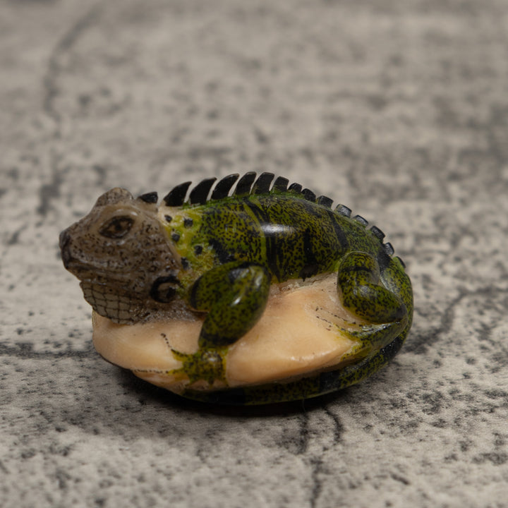 Iguana Lizard Reptile Tagua Carving