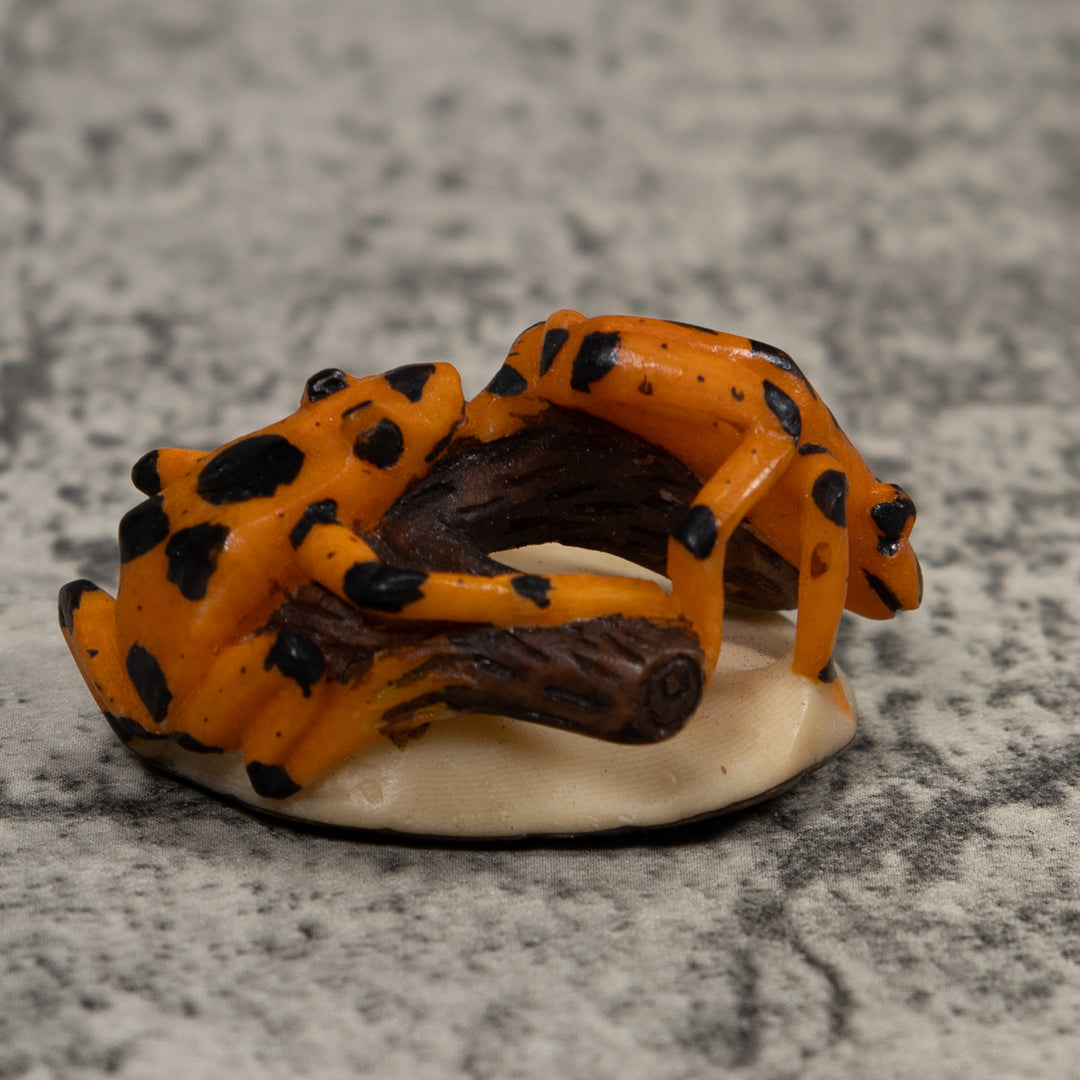 Vintage Double Black And Gold Frog Tagua Carving