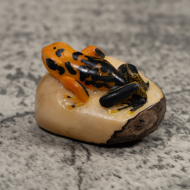 Black And Gold Poison Dart Frog Tagua Carving
