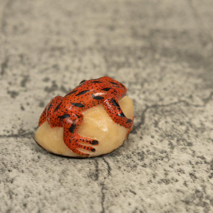 Black And Orange Poison Dart Frog Tagua Carving