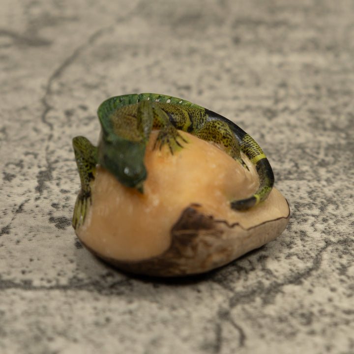 Iguana Lizard Reptile Tagua Carving