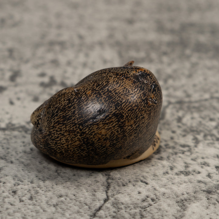 Vintage Black And White Coatimundi Tagua Carving