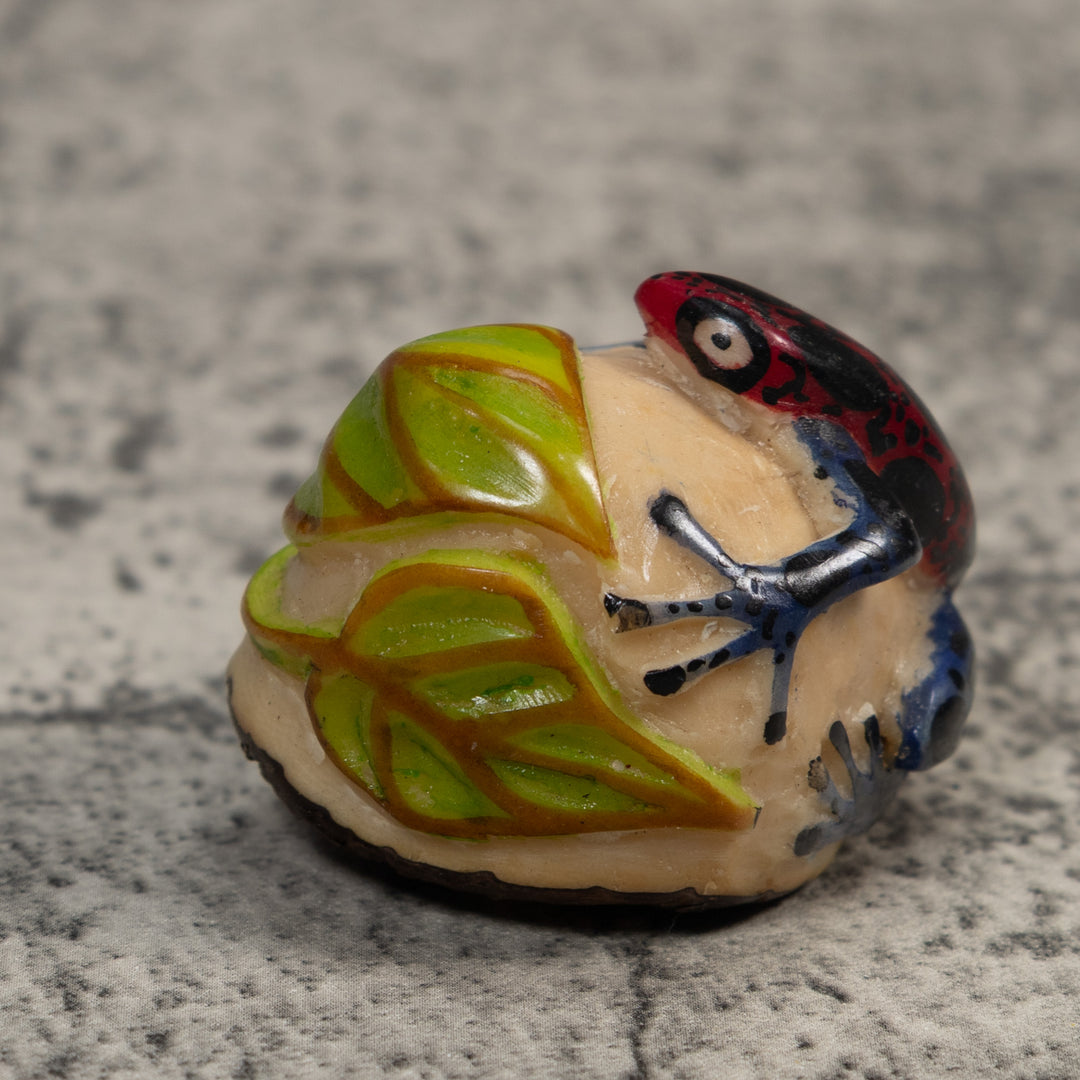 Vintage Black Red And Green Frog Tagua Carving