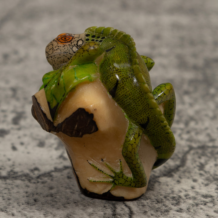 Iguana Lizard Reptile Tagua Carving