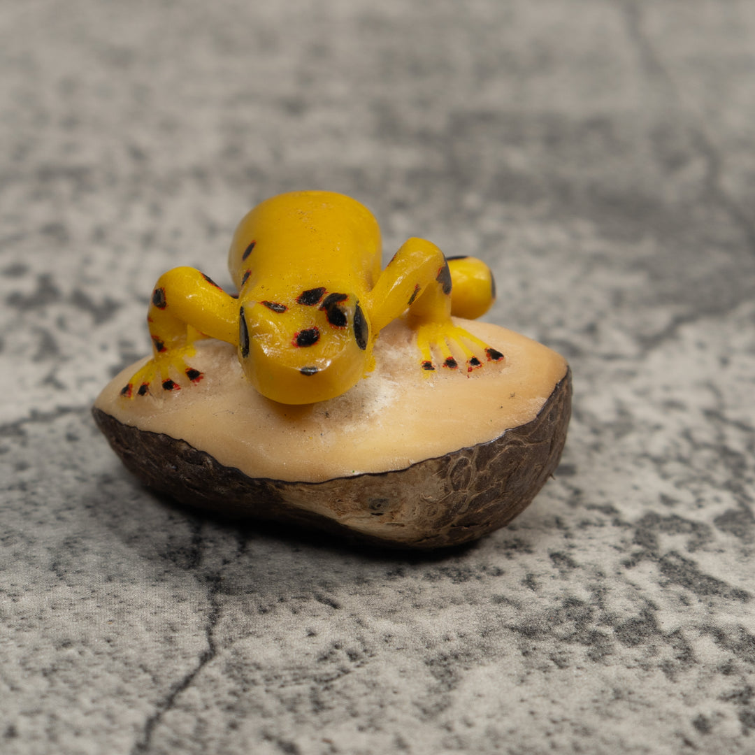 Vintage Black And Gold Poison Dart Frog Tagua Carving