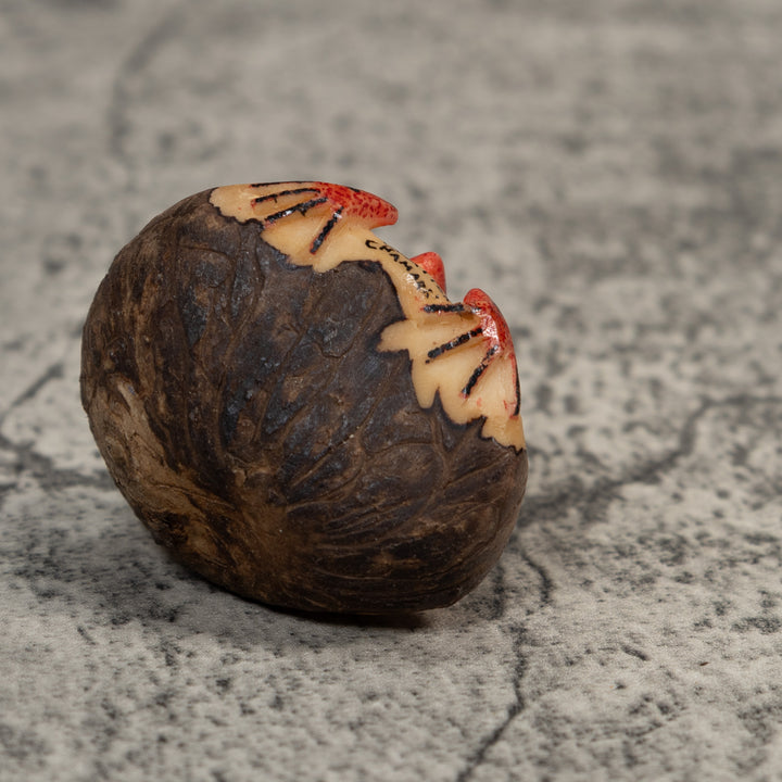 Vintage Red And Black Poison Dart Frog Tagua Carving