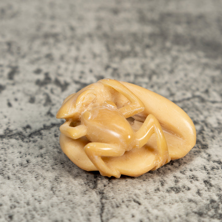 Vintage Natural White Snake Eating Frog Tagua Carving