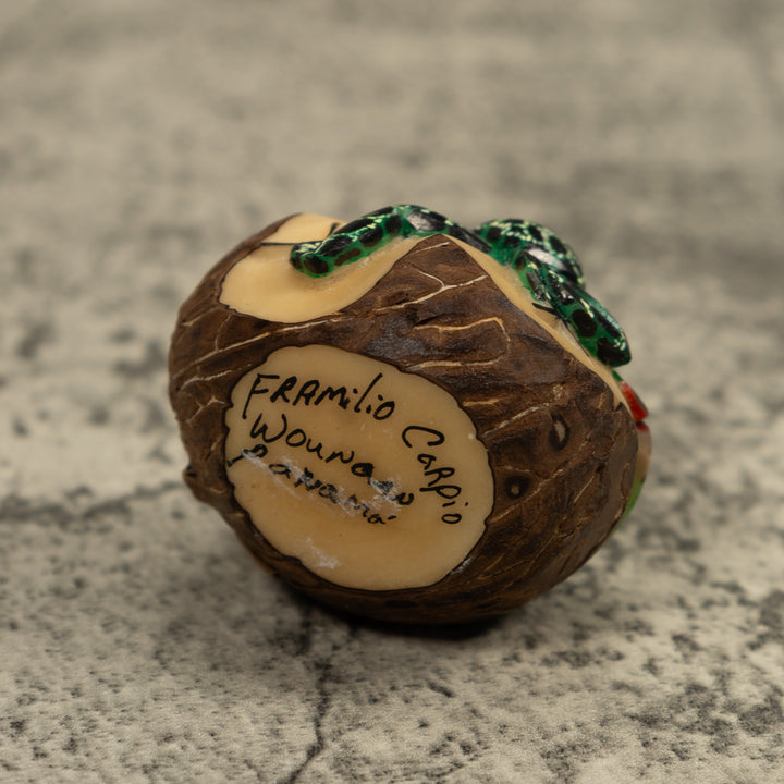 Poison Dart Red And Black Frog Tagua Carving