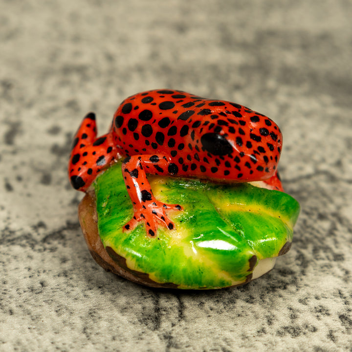Red And Black Poison Dart Frog Tagua Carving