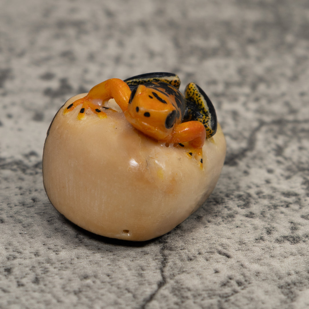 Black And Gold Poison Dart Frog Tagua Carving