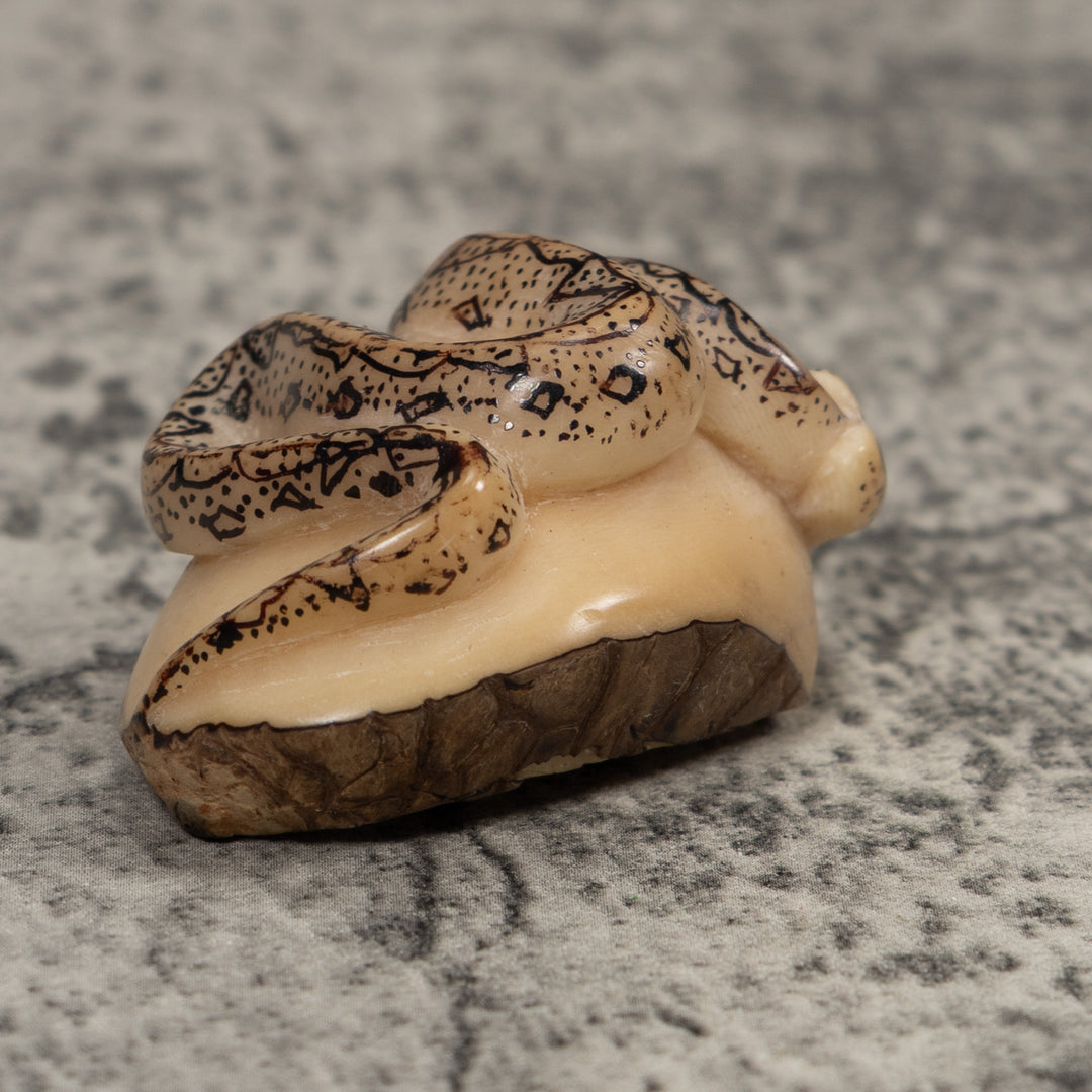 Jungle Snake Tagua Carving