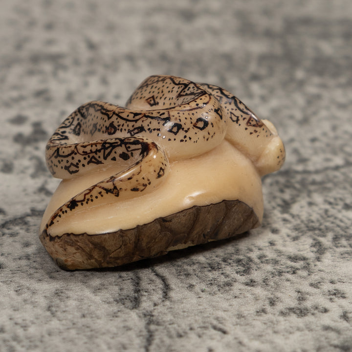 Jungle Snake Tagua Carving