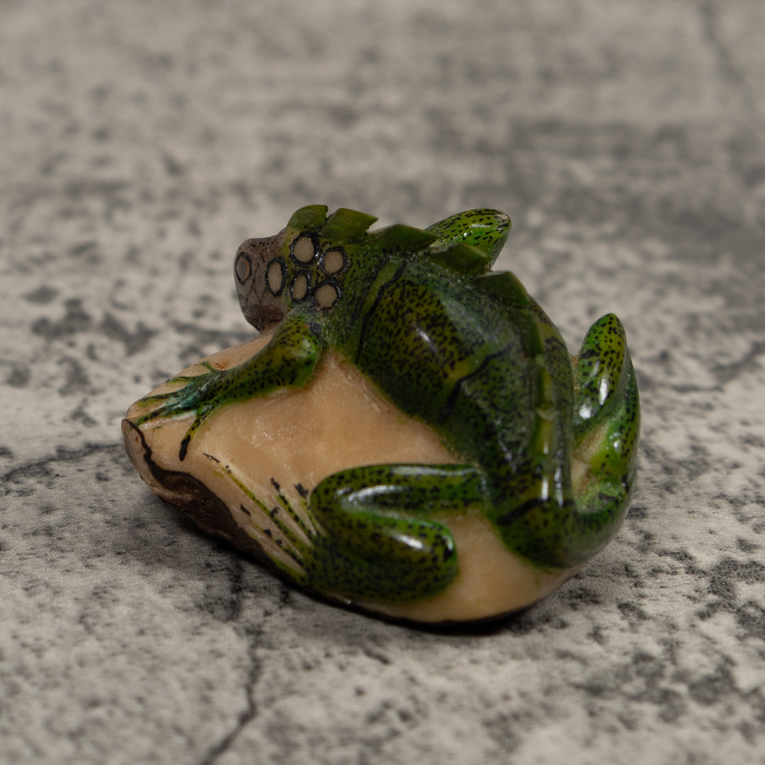 Iguana Lizard Reptile Tagua Carving
