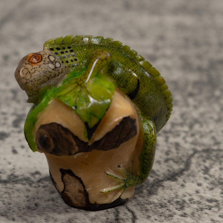 Iguana Lizard Reptile Tagua Carving