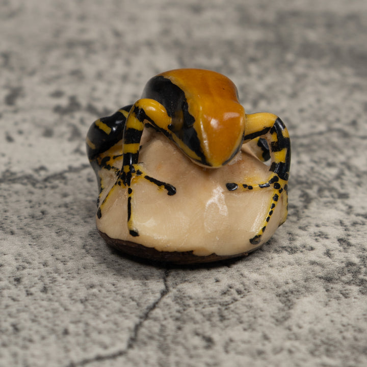 Black And Gold Frog Tagua Carving