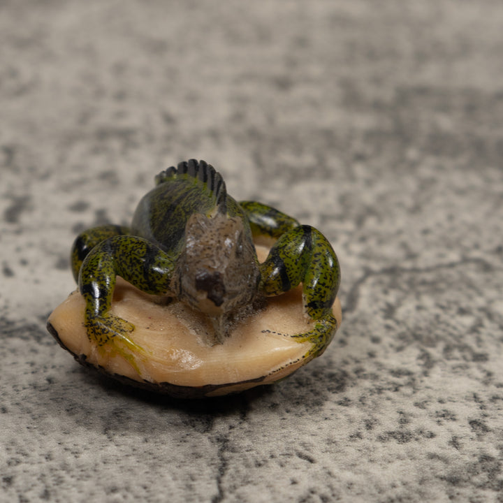 Iguana Lizard Reptile Tagua Carving