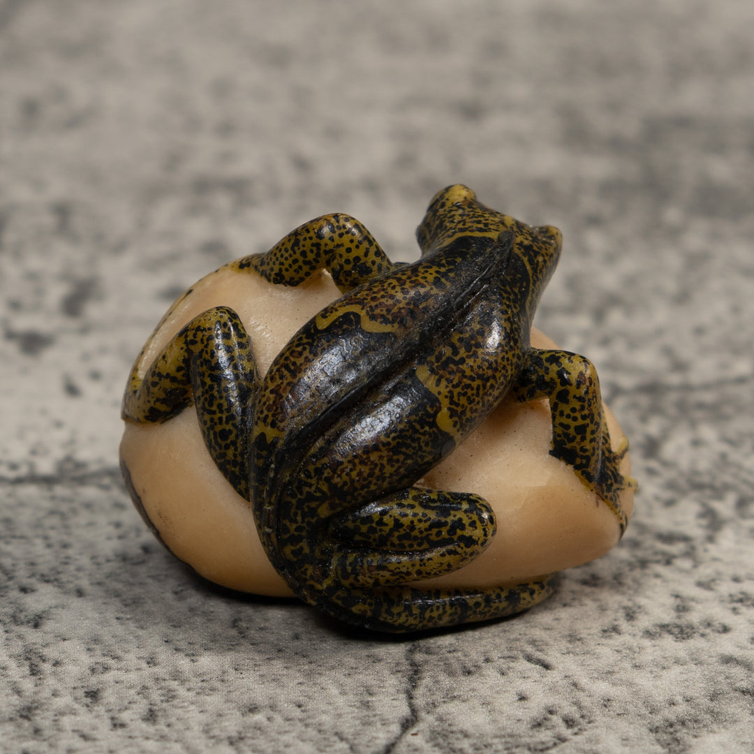 Brown And Black Iguana Lizard Tagua Carving
