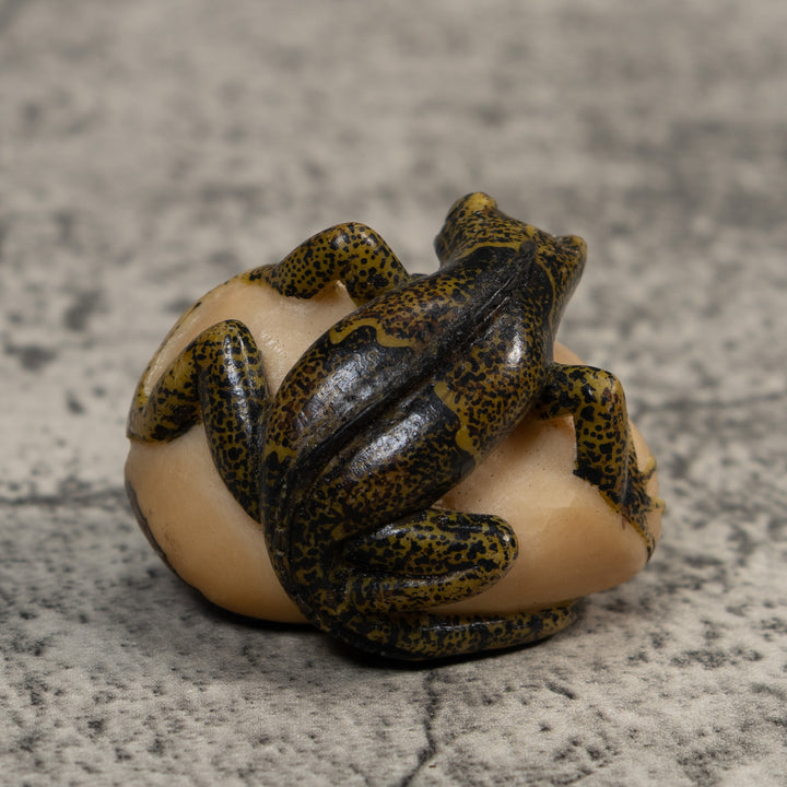 Brown And Black Iguana Lizard Tagua Carving