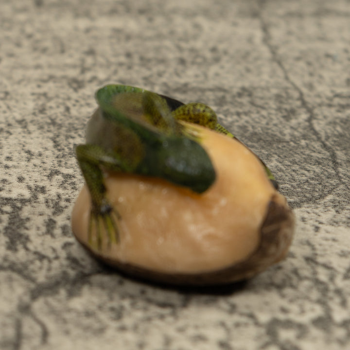 Iguana Lizard Reptile Tagua Carving