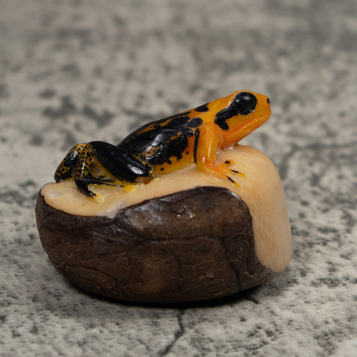 Black And Gold Poison Dart Frog Tagua Carving