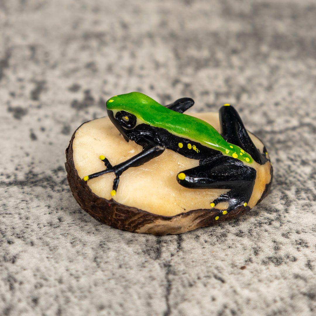 Black And Green Poison Dart Frog Tagua Carving