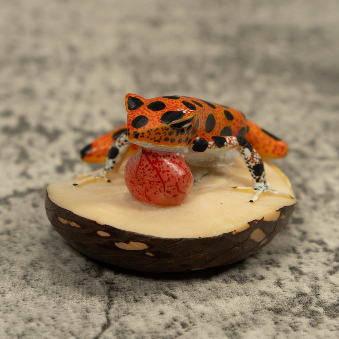Poison Dart Frog Blow throat Tagua Carving