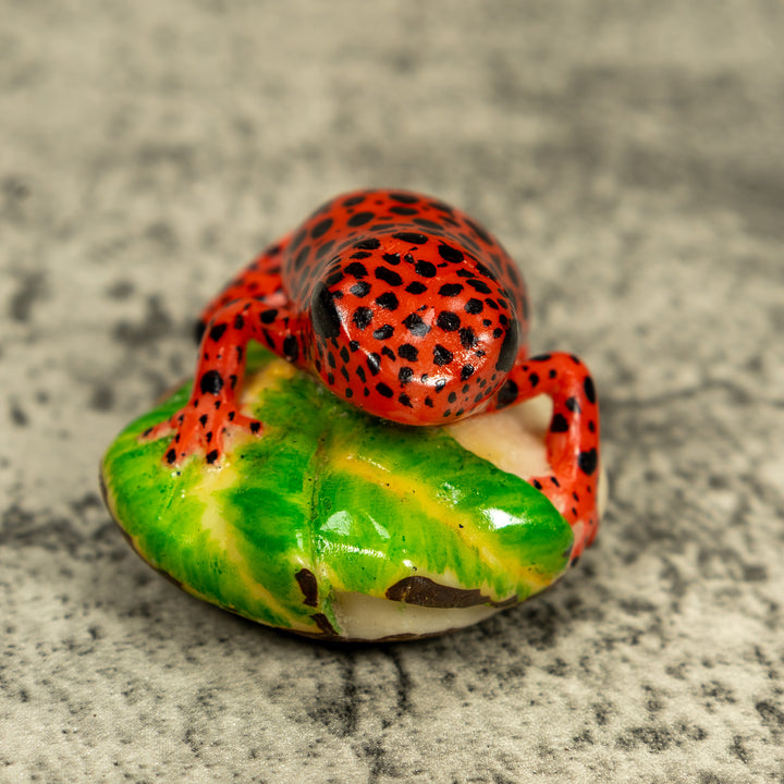 Red And Black Poison Dart Frog Tagua Carving