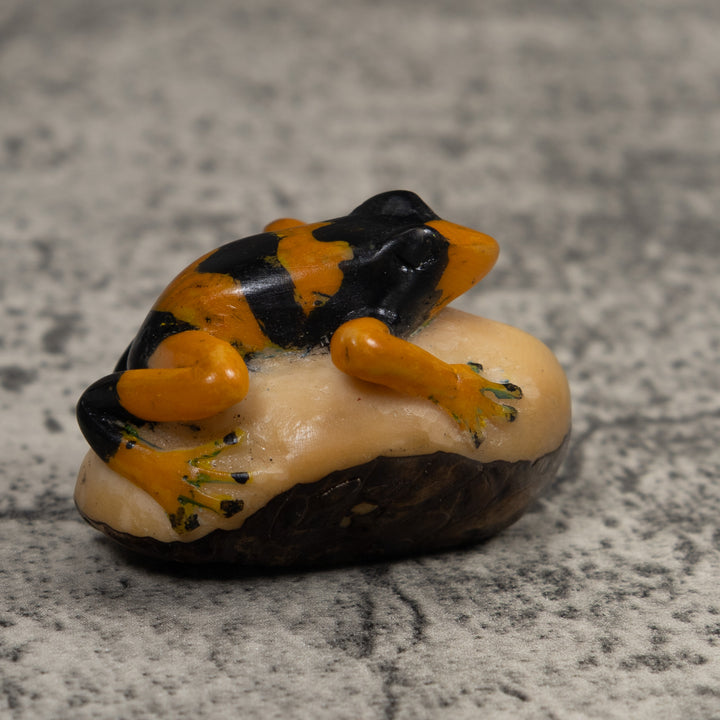 Vintage Gold And Black Frog Tagua Carving