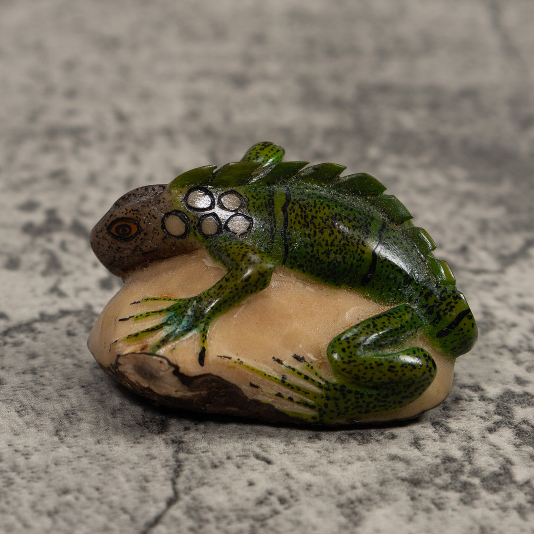Iguana Lizard Reptile Tagua Carving