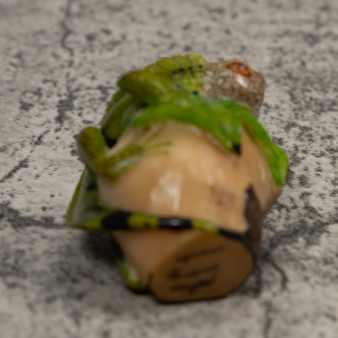 Iguana Lizard Reptile Tagua Carving
