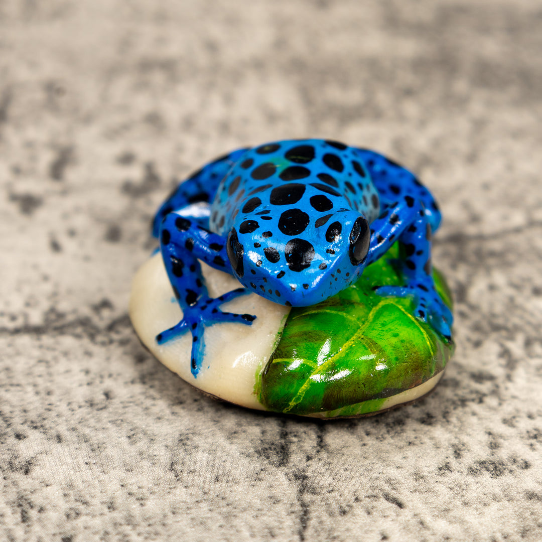 Black And Blue Poison Dart Frog Tagua Carving