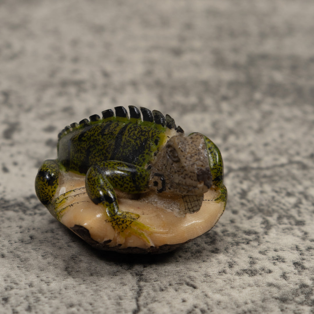 Iguana Lizard Reptile Tagua Carving