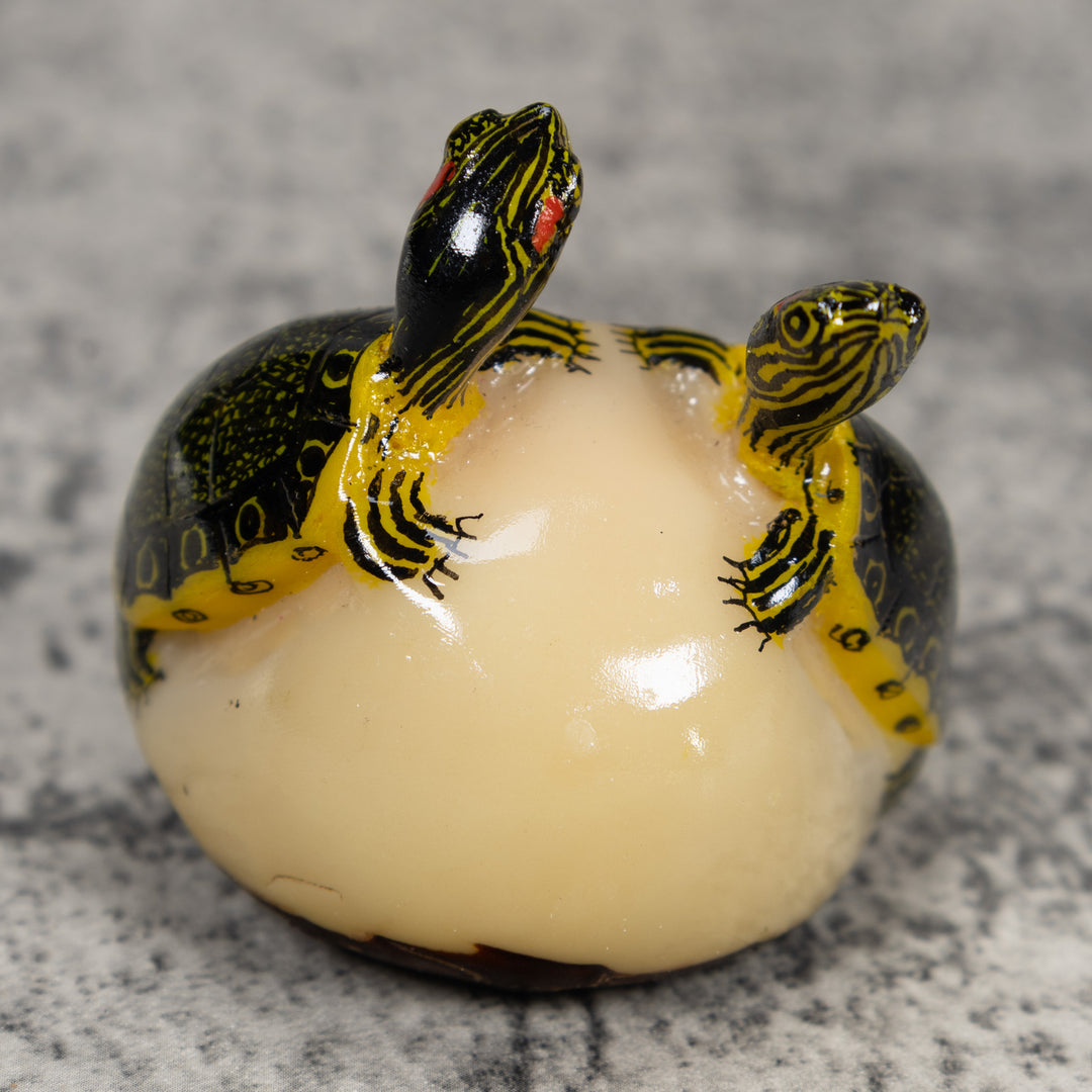 Double (2) Tortoise Turtle Tagua Carving