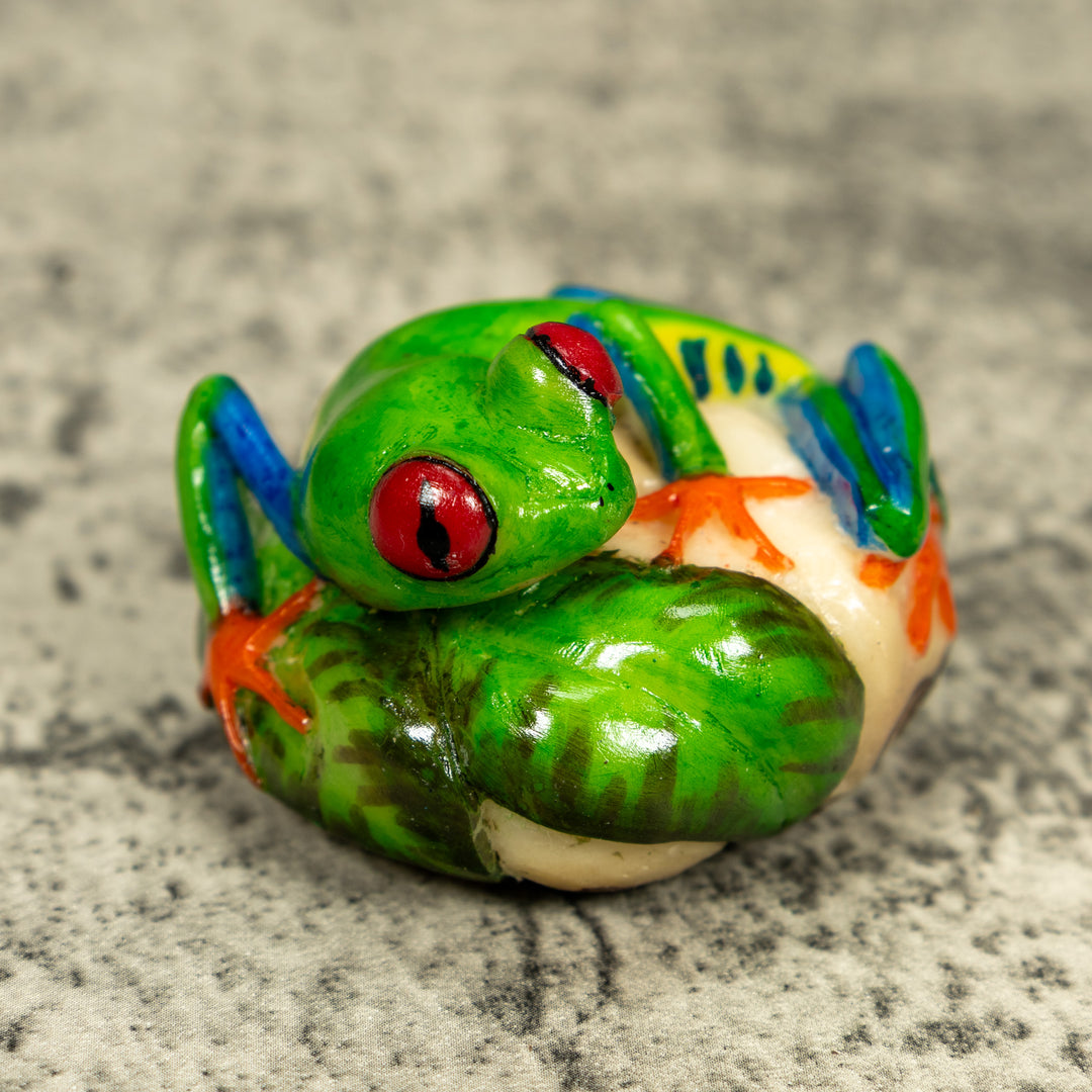 Red Eye Tree Frog Tagua Carving
