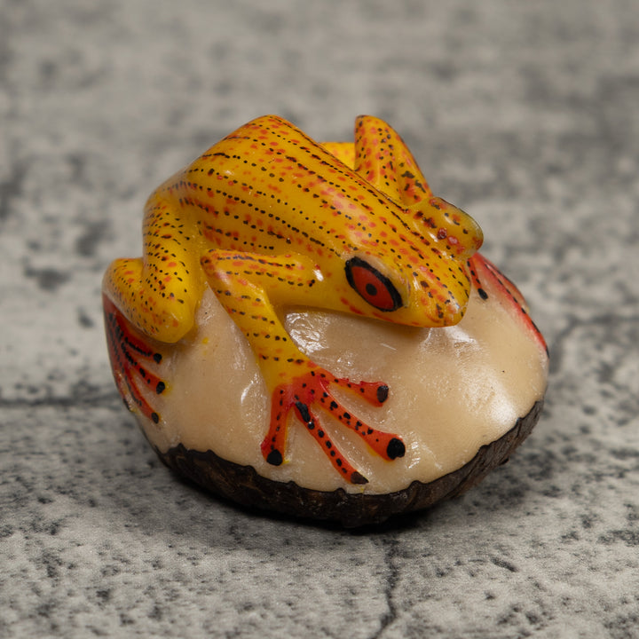 Vintage Gold Red And Black Frog Tagua Carving