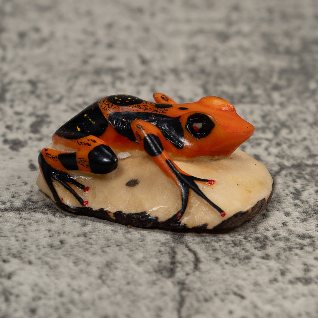 Vintage Poison Dart Frog Tagua Carving