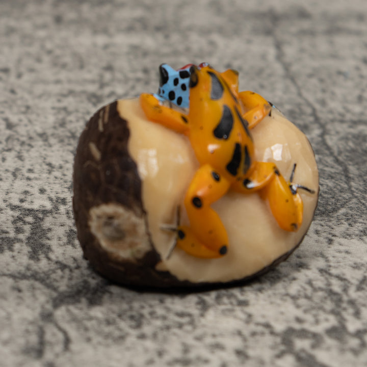 Double Poison Dart Frog Tagua Carving