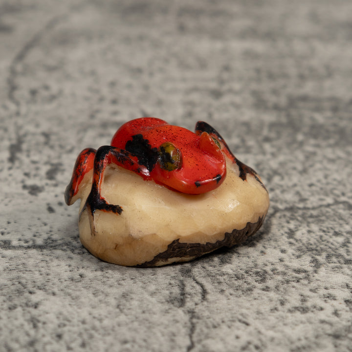 Vintage Red And Black Poison Dart Frog Tagua Carving