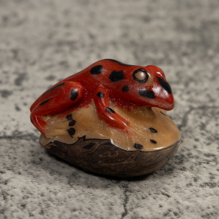 Vintage Red And Black Frog Tagua Carving
