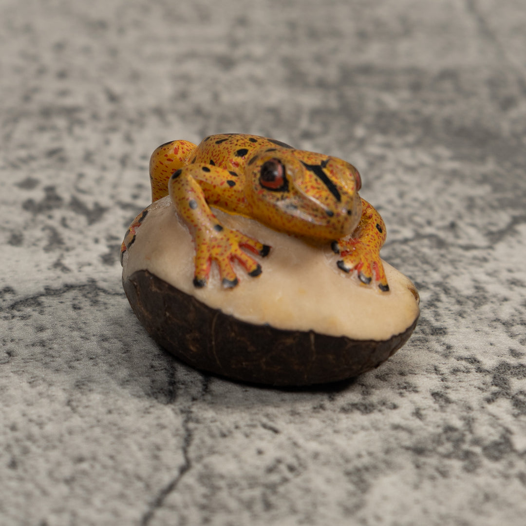 Gold And Black Poison Dart Frog Tagua Carving