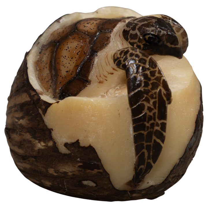 Sea Turtle Emerging From Egg Tagua Carving