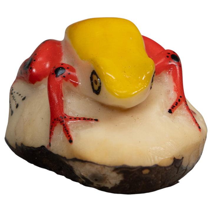 Red And Yellow Poison Dart Frog Tagua Carving