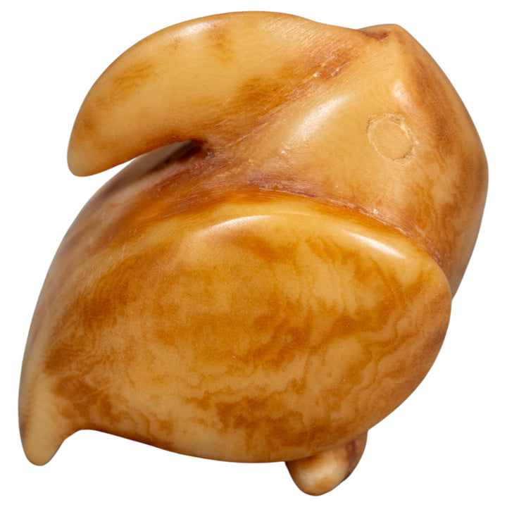 Vintage Dyed Toucan Bird Tagua Carving