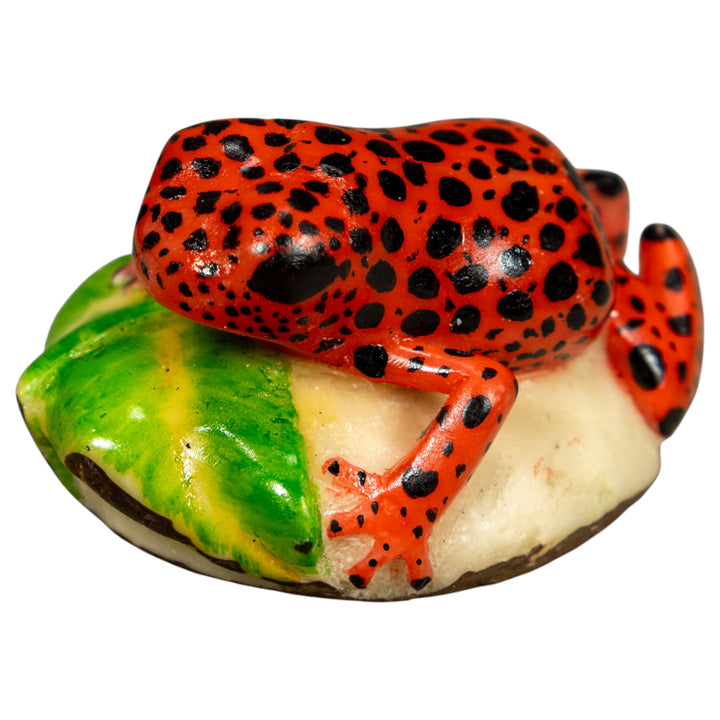 Red And Black Poison Dart Frog Tagua Carving