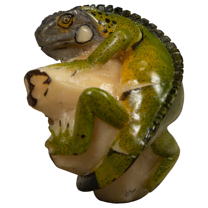 Iguana Lizard Reptile Tagua Carving