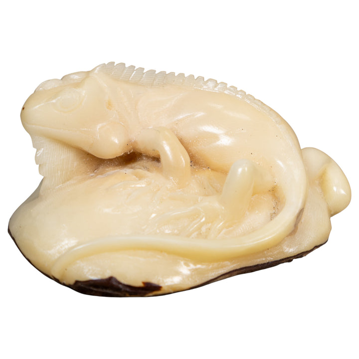 Natural White Iguana Lizard Tagua Carving