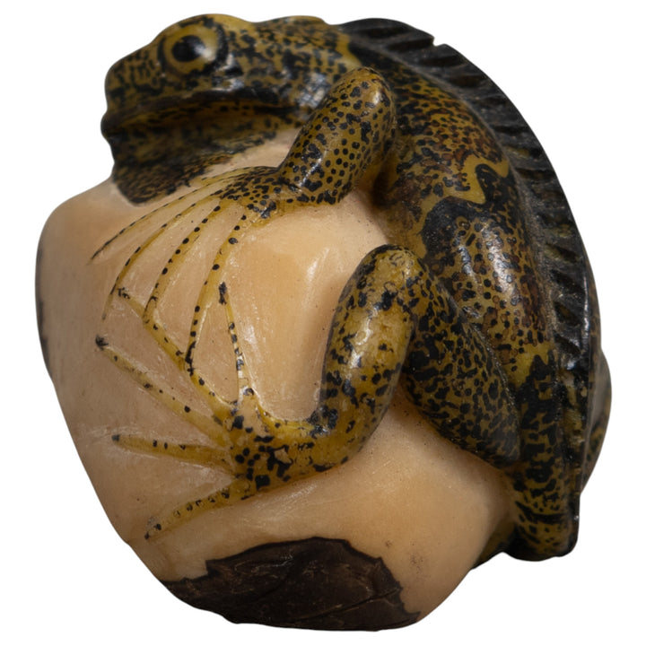Brown And Black Iguana Lizard Tagua Carving