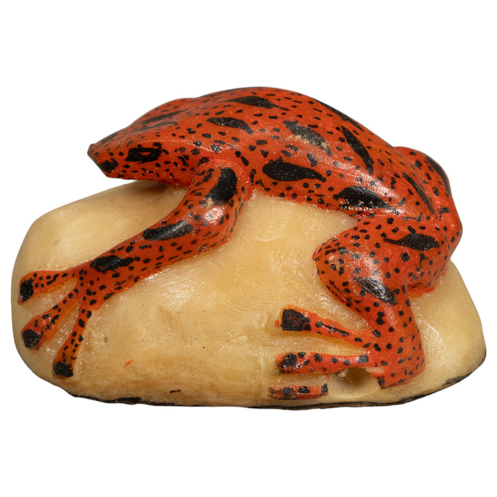 Black And Orange Poison Dart Frog Tagua Carving